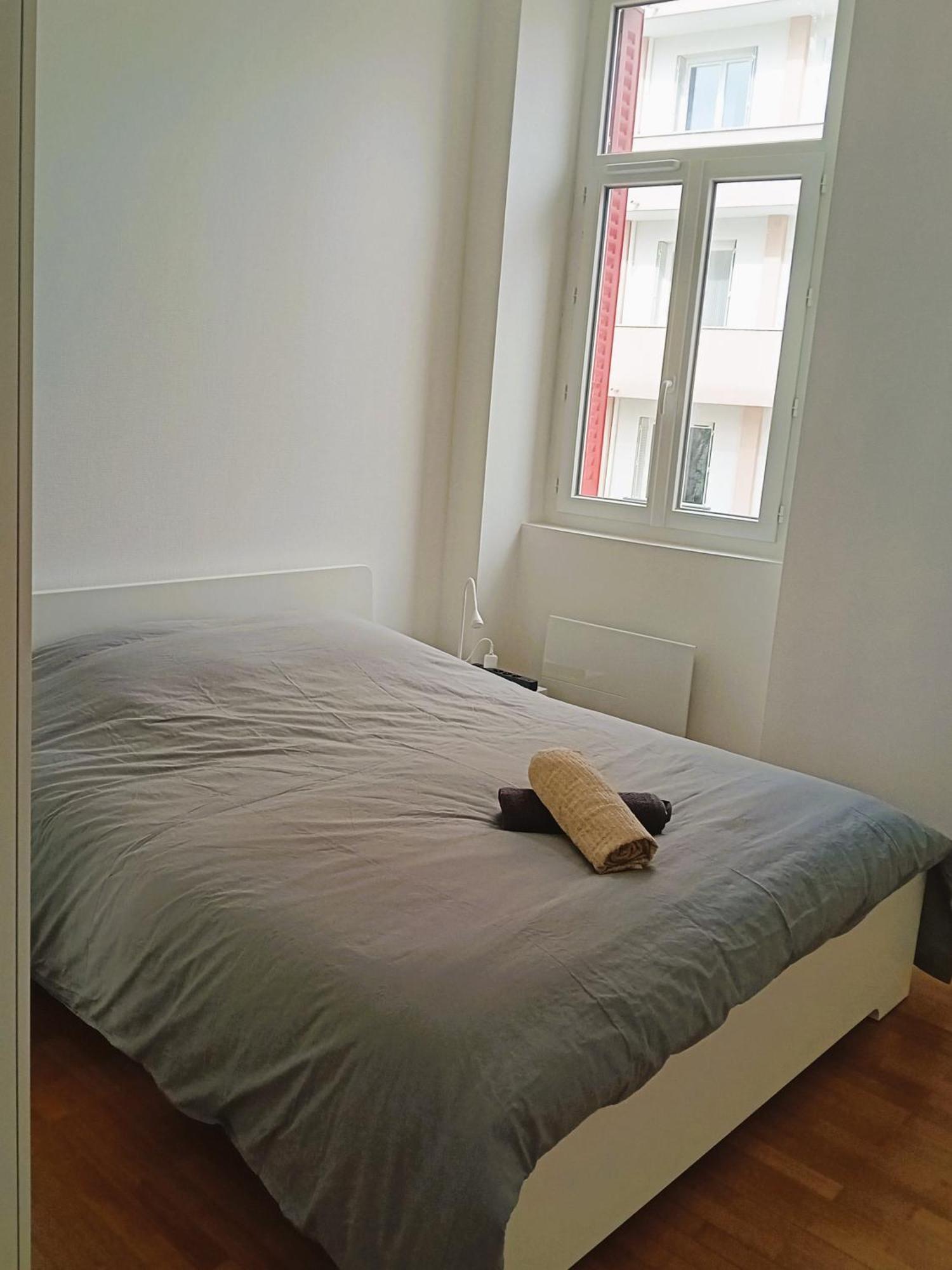 102 - Appart Renove Avec Grand Salon Et 1 Chambre - Tram Et Clinique Mutualiste A 1 Min Γκρενόμπλ Εξωτερικό φωτογραφία